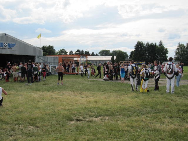 Vector festival on the ground